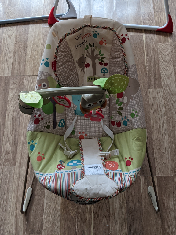 fisher price cozy cocoon bouncer